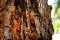 Amberwood